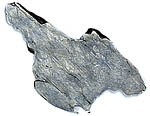 Nickel Iron Meteorite