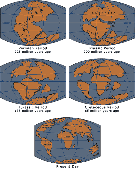 Pangea