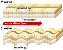 P and S waves