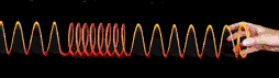 Slinky and hand