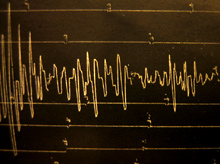 Seismogram