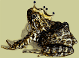 Frog with Crown