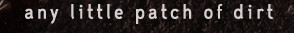 any little patch of dirt