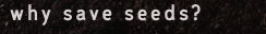 why save seeds?