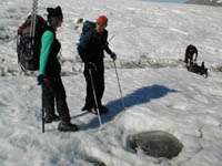 cryoconite hole on the Canada Glacier.