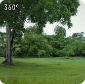 panorama of Las Cuevas compound