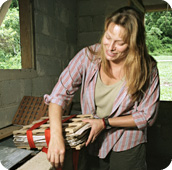 image: drying leaves