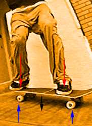 ollie frame 7